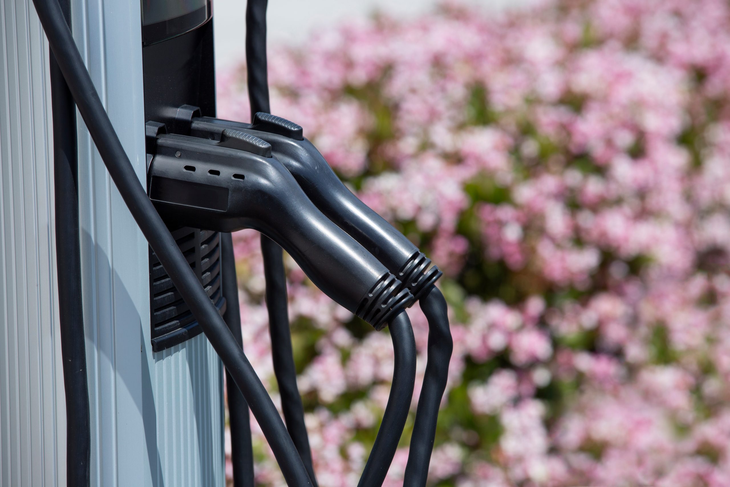 electric-car-charging-spring-scaled.jpg