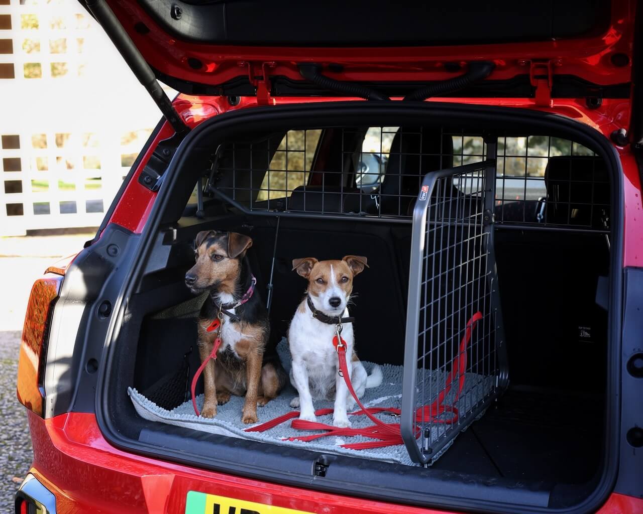 2 small dogs in the boot of an electric MINI countryman travelling with dog guard